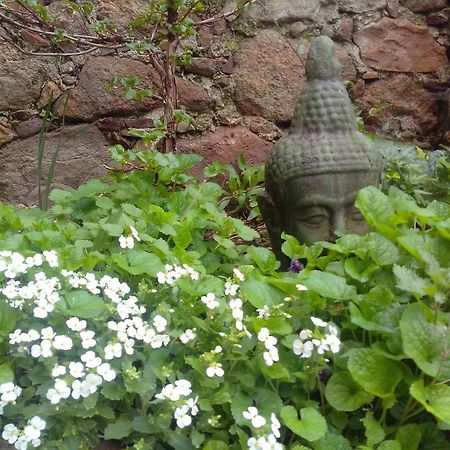 Le Clos De La Source Bed and Breakfast Le Bousquet-d'Orb Buitenkant foto