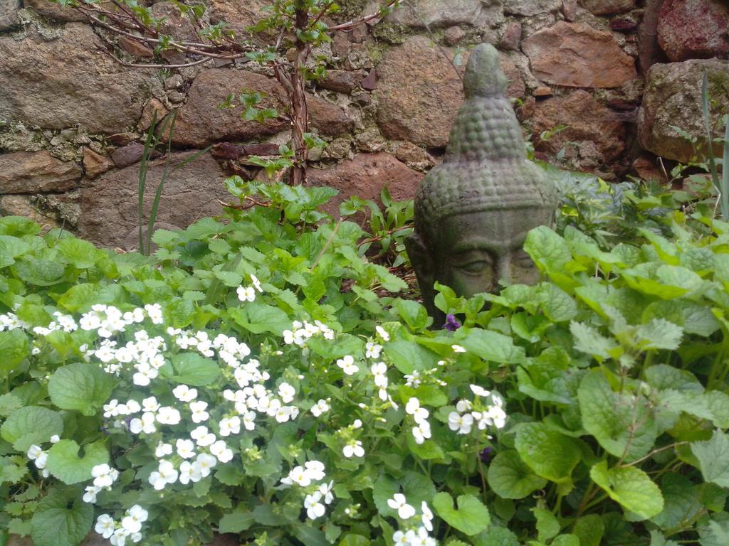 Le Clos De La Source Bed and Breakfast Le Bousquet-d'Orb Buitenkant foto